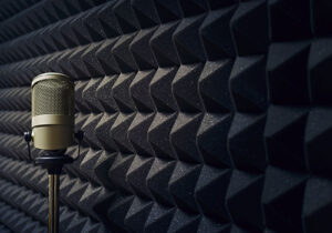 voice-service